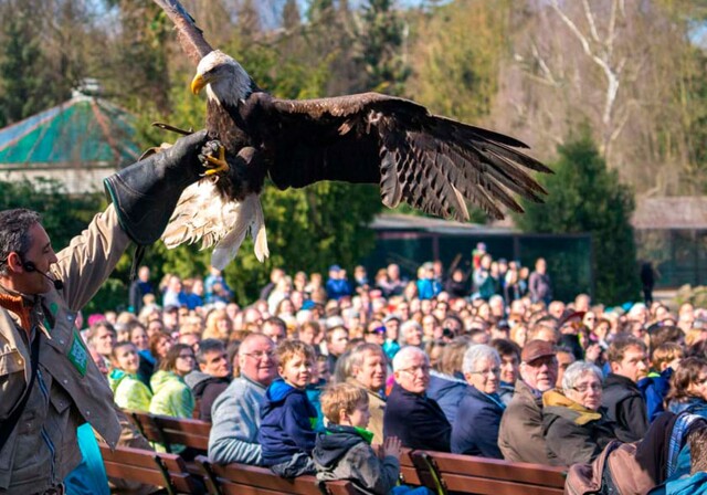 Welvogelpark Walsrode
